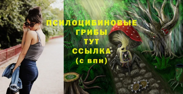 скорость Козельск