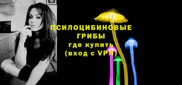 PSILOCYBIN Козловка