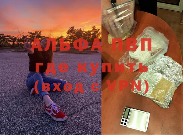 spice Щучье