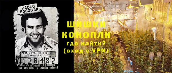PSILOCYBIN Козловка