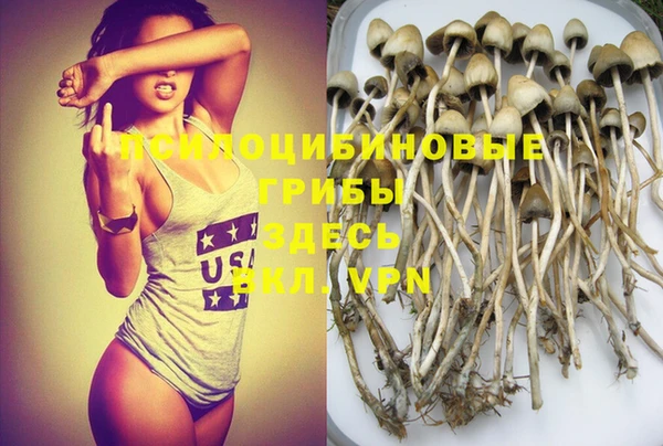 PSILOCYBIN Козловка