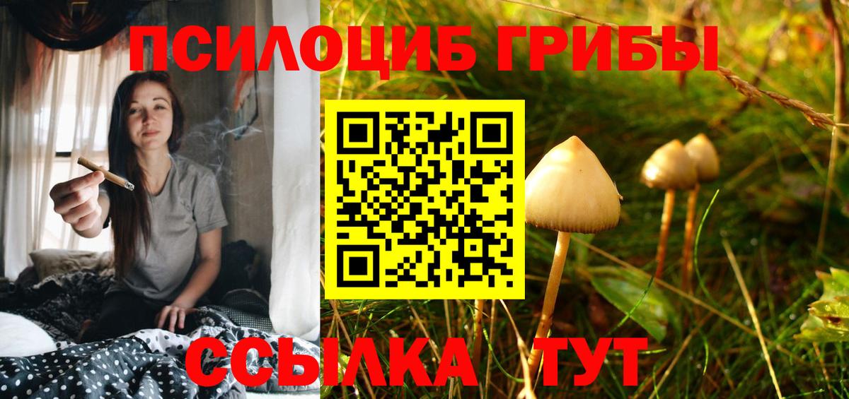 Галлюциногенные грибы Magic Shrooms  Вход с VPN  Волгодонск 