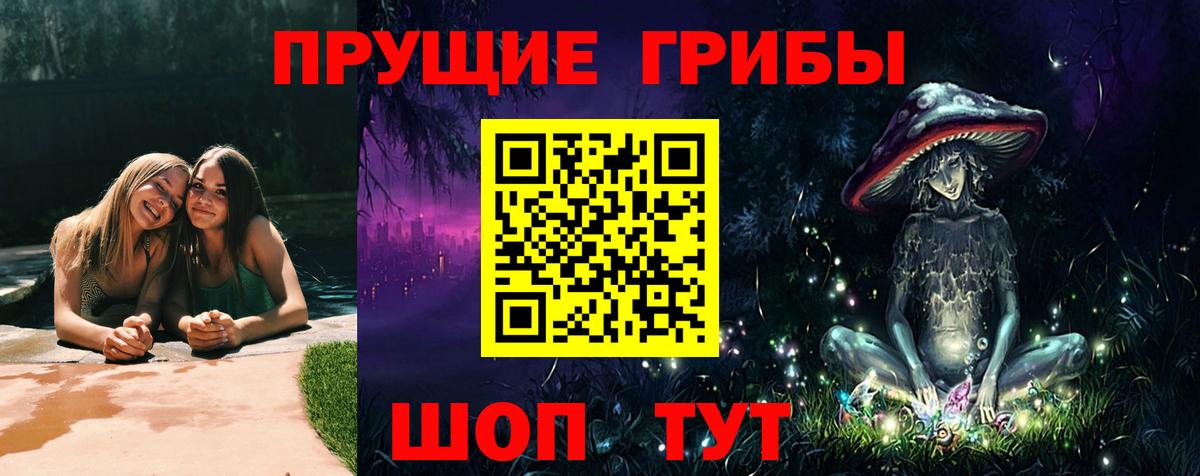 Галлюциногенные грибы мицелий  Волгодонск 
