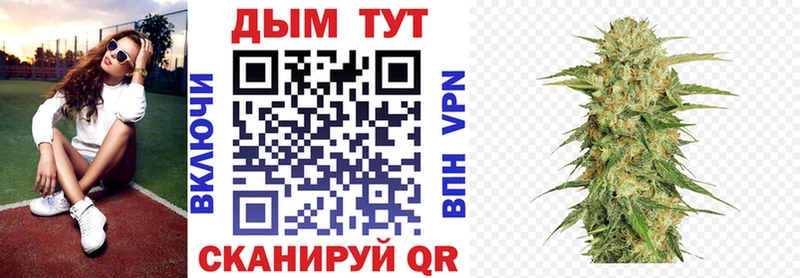Шишки марихуана SATIVA & INDICA  MEGA ссылки  Волгодонск  сколько стоит 